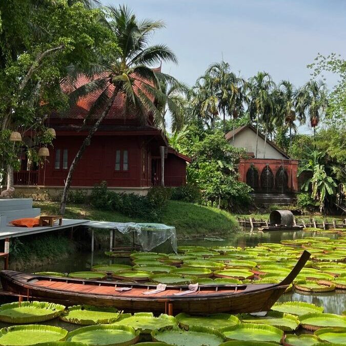 thai