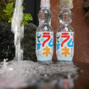 Bottles of soda